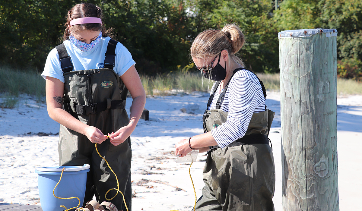우리카지노 바카라사이트, 바카라사이트 대학