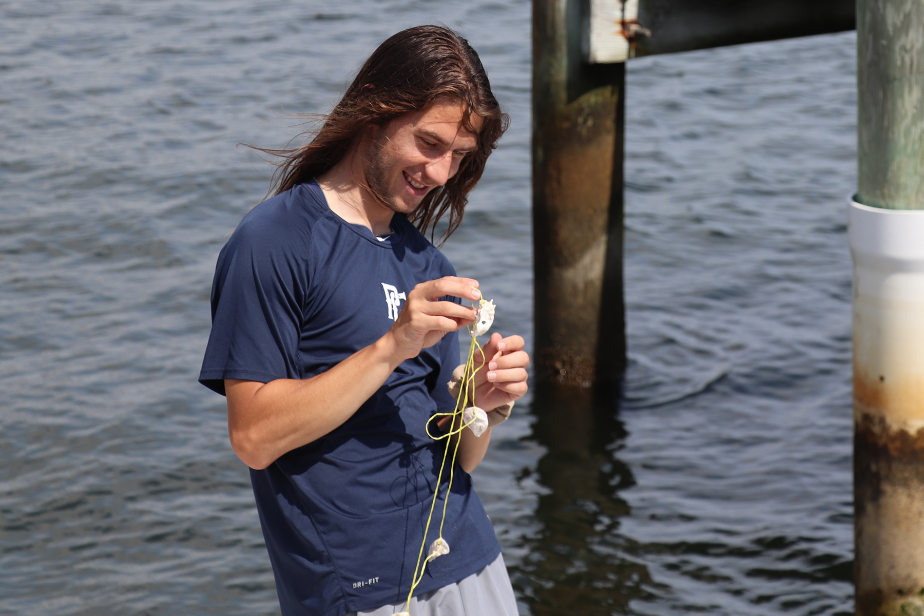 , 바카라사이트 칼리지