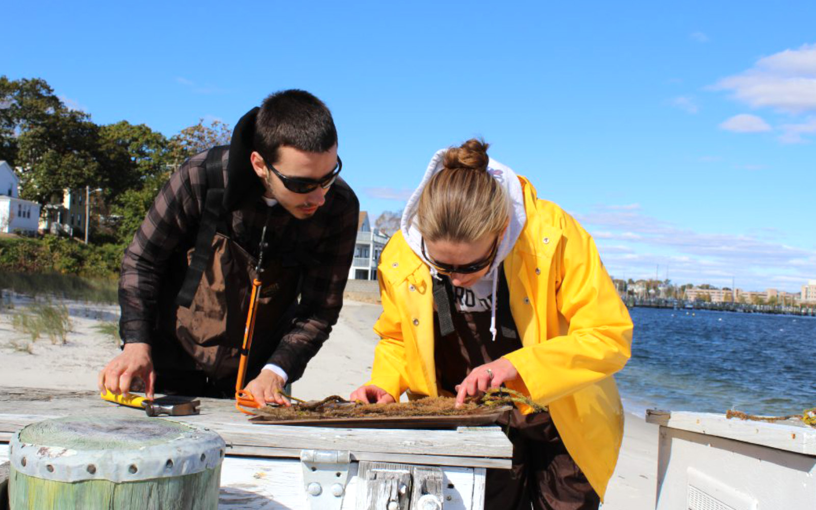 , 바카라사이트 칼리지