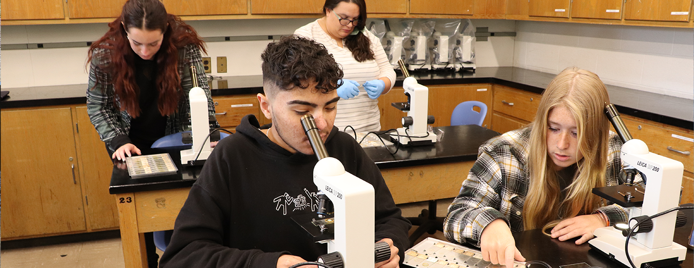 교육 프로그램, 바카라사이트 뱃무브 칼리지
