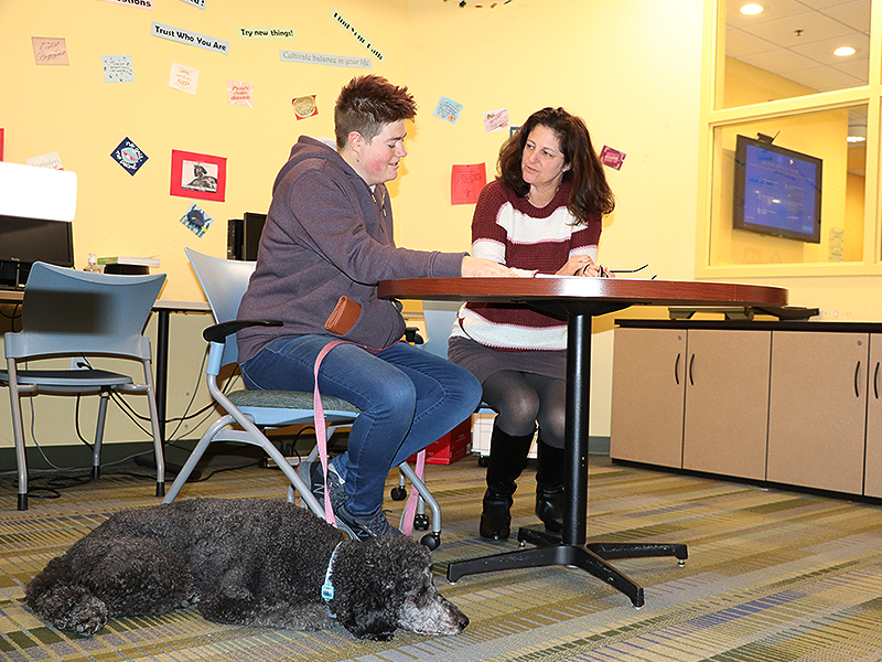 , 바카라사이트 칼리지