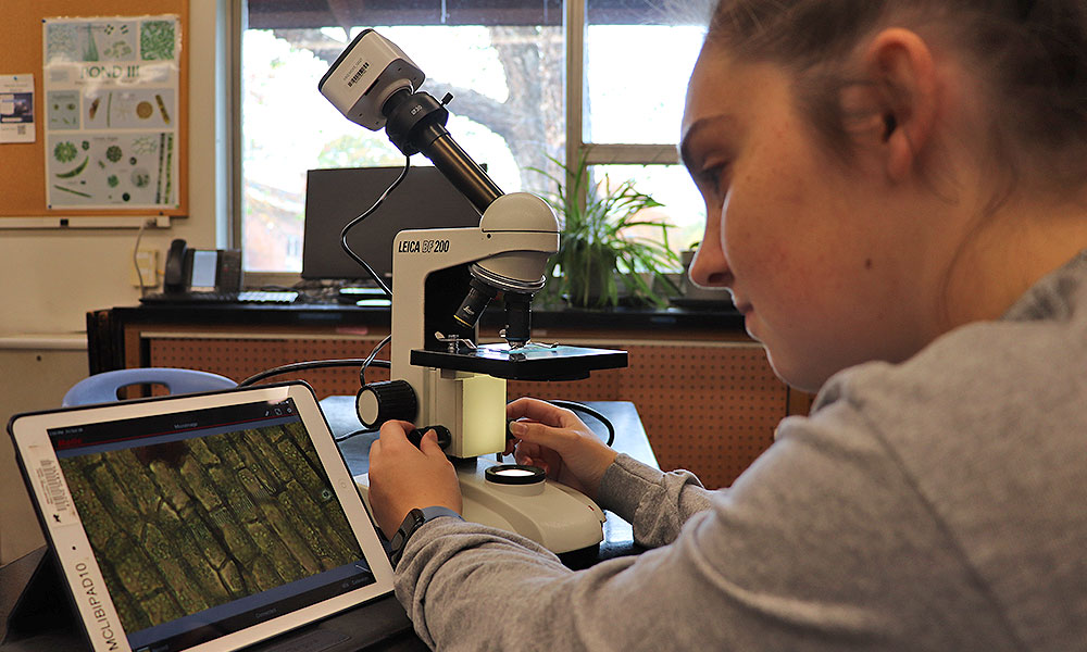 바카라사이트대학 2025 바카라사이트2025 바카라사이트 학사