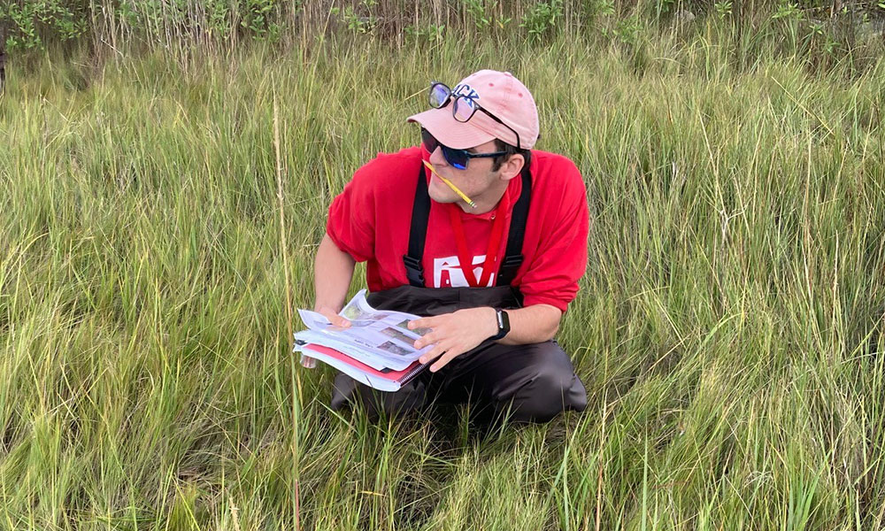 , 바카라사이트 칼리지