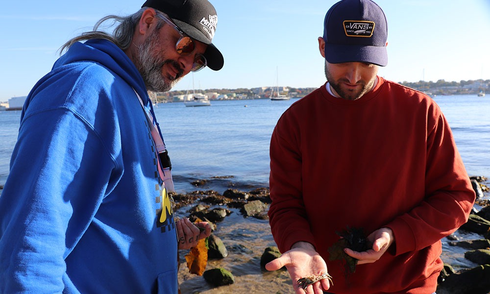 , 바카라사이트 칼리지