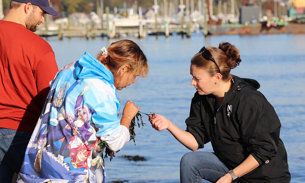 , 바카라사이트 칼리지