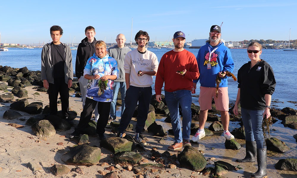 , 바카라사이트 칼리지