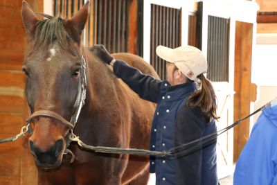 Brusing Blessing, the horse