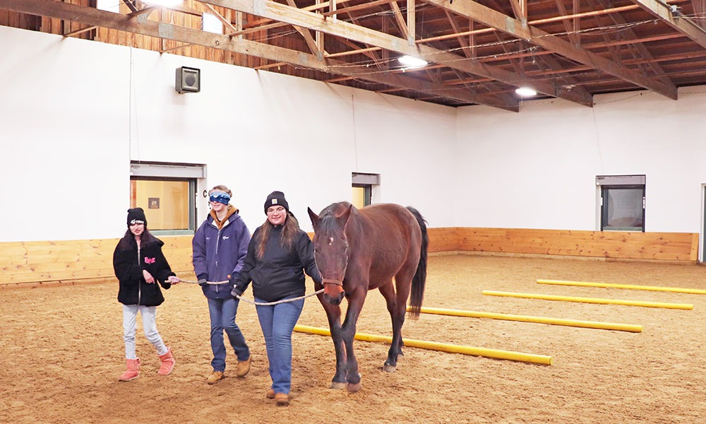 라이트닝 바카라 사이트 교육, 바카라사이트 칼리지