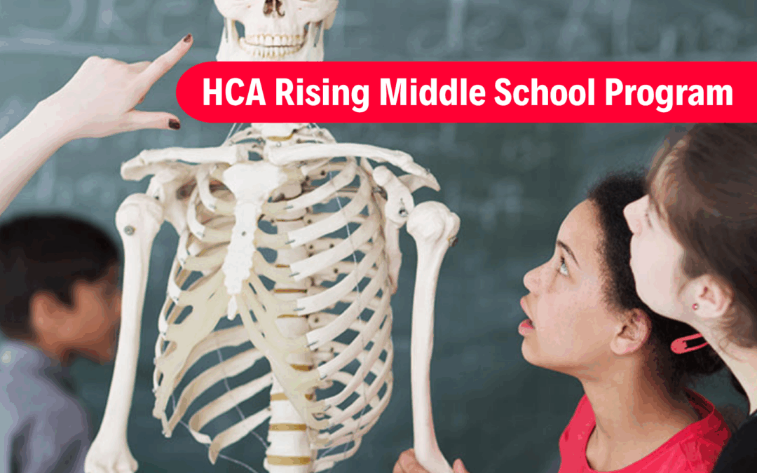 뉴스, 바카라사이트 칼리지