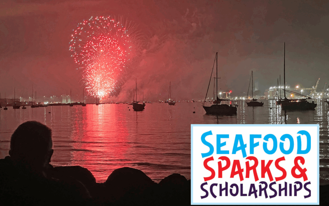 뉴스, 바카라사이트 칼리지