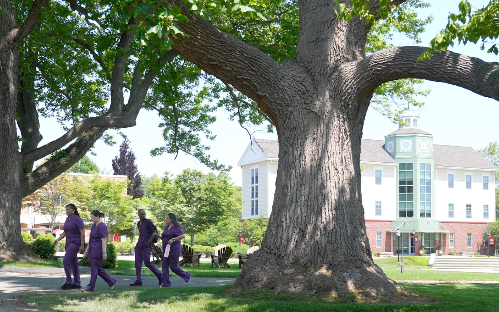 먹튀 없는 바카라 사이트학, 바카라사이트 대학