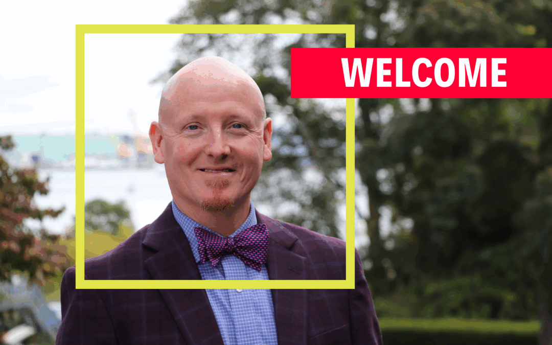 뉴스, 바카라사이트 칼리지