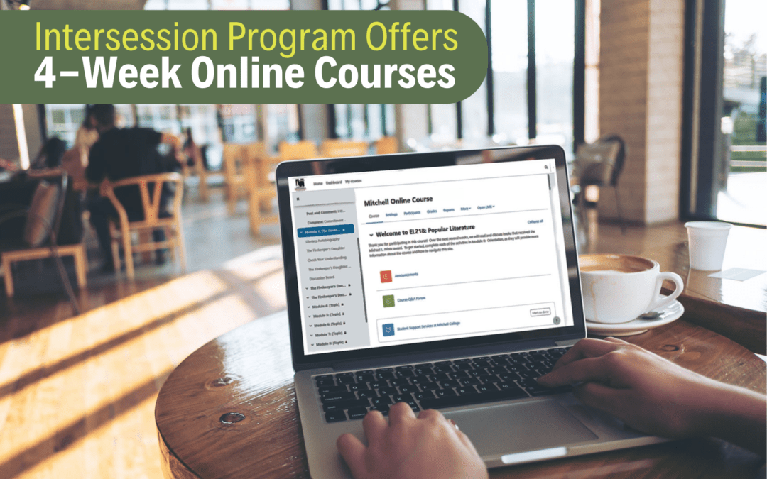 뉴스, 바카라사이트 칼리지